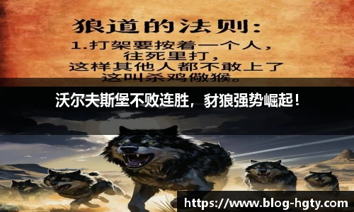 沃尔夫斯堡不败连胜，豺狼强势崛起！